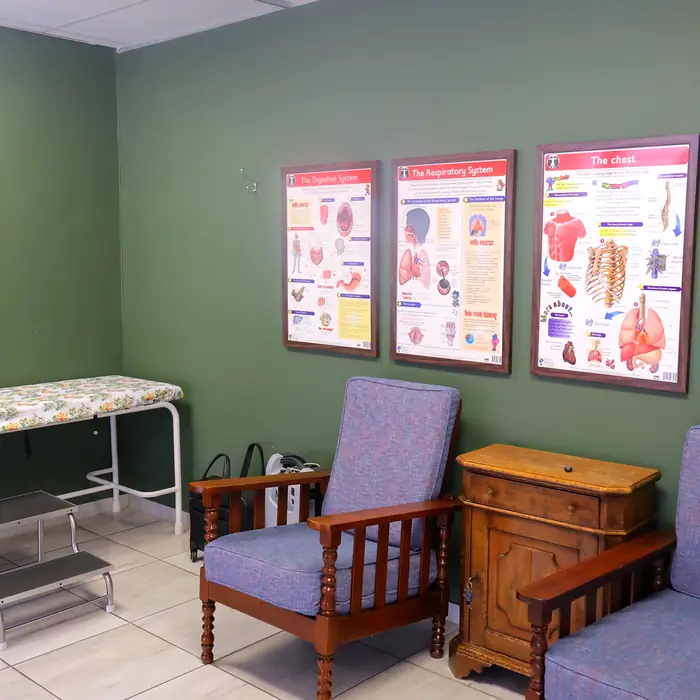 Consulting room with anatomical charts and seating